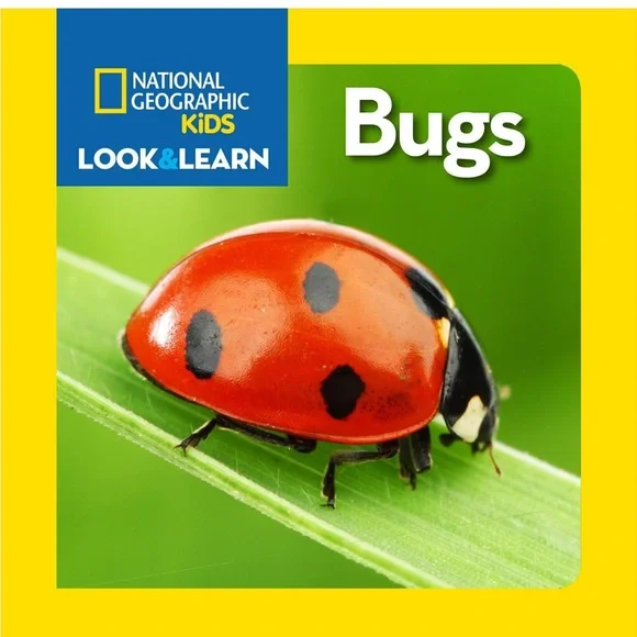 National Geographic Kids Look & Learn Books - Caterpillar to Butterfly and Bugs - Picture 8 of 8